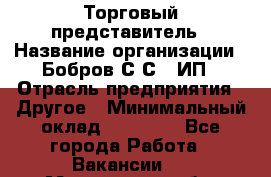 Торговый представитель › Название организации ­ Бобров С.С., ИП › Отрасль предприятия ­ Другое › Минимальный оклад ­ 25 000 - Все города Работа » Вакансии   . Мурманская обл.,Оленегорск г.
